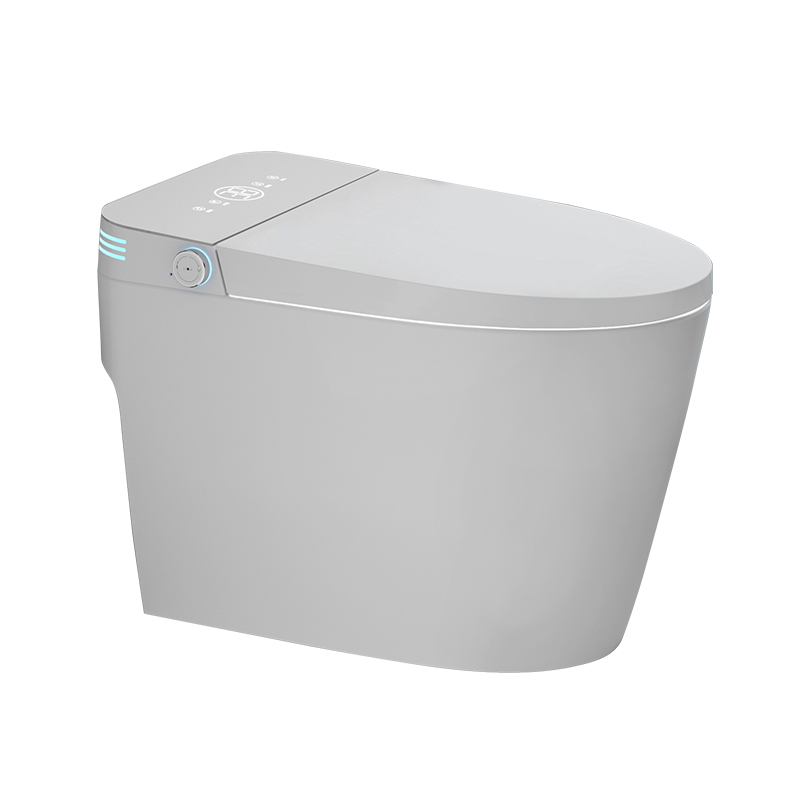 All-in-One Smart Bidet Toilet with Built-in Booster Tank